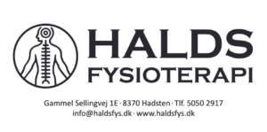 HaldsFysLogo